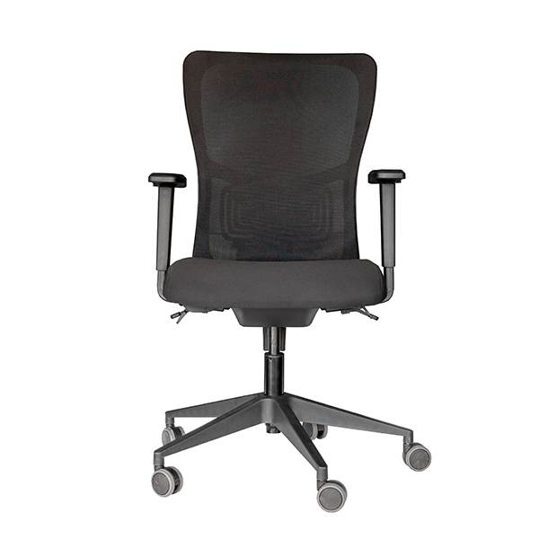 Vooraanzicht van de Ergowork 250 ergonomische bureaustoel met verstelbare lumbaalsteun en ademende rugleuning.