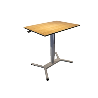 Ergodesk Skola