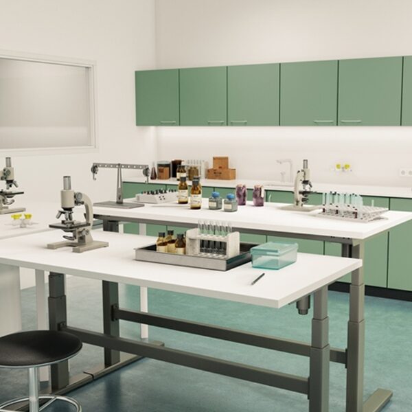 ergodesk industry heavy laboratorium