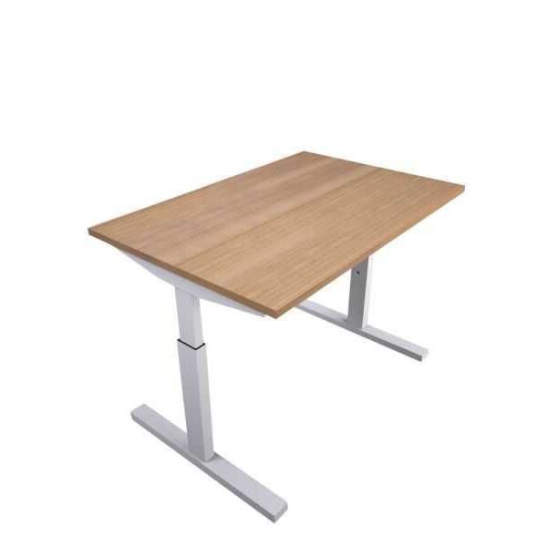 Ergodesk instelbaar