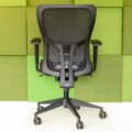 Achteraanzicht van de Ergowork 250 ergonomische bureaustoel met rugleuning en aanpasbare ondersteuning tegen een groene achtergrond.